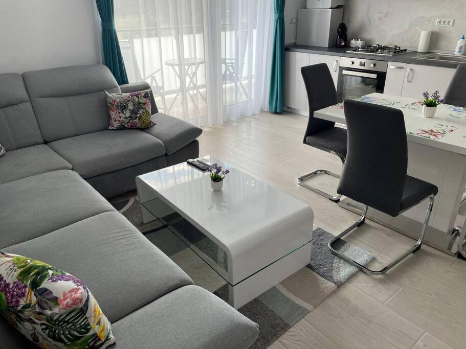 Rebreanu Residence Lux Apartmen 蒂米什瓦拉 外观 照片