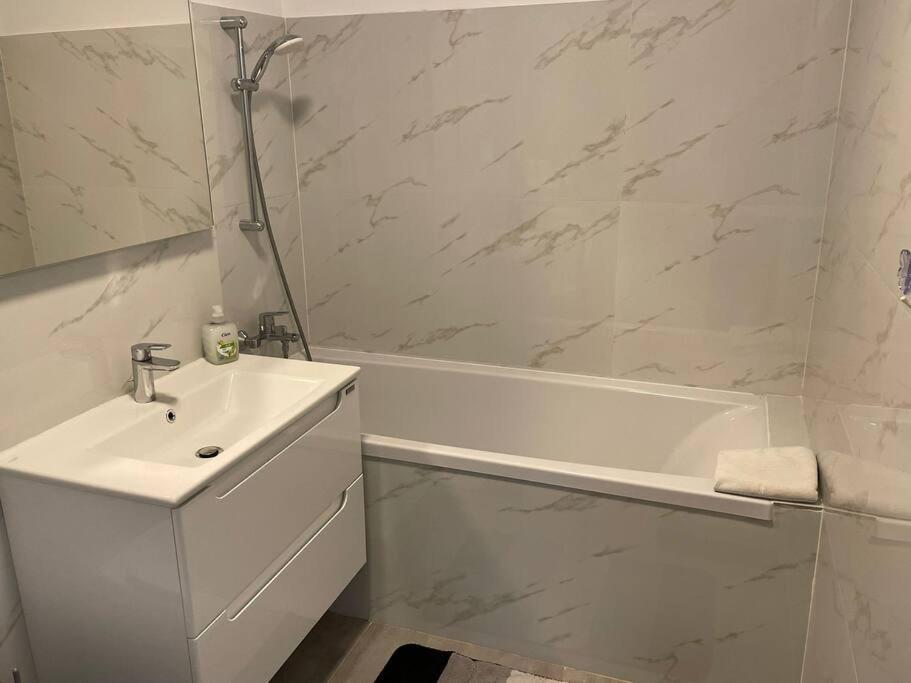 Rebreanu Residence Lux Apartmen 蒂米什瓦拉 外观 照片